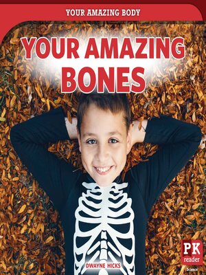 cover image of Your Amazing Bones